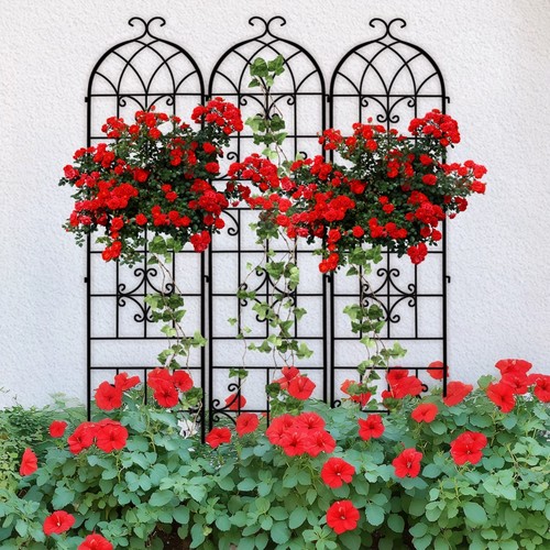 Metal garden trellis for - trellis,