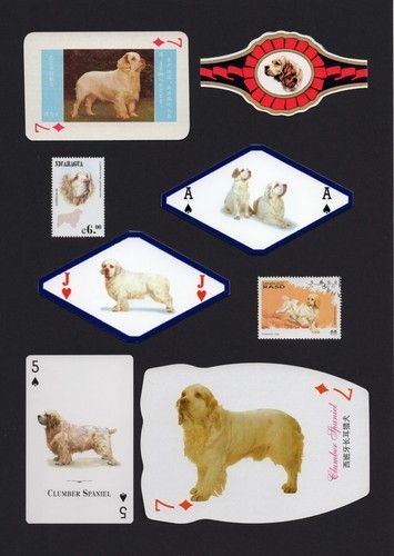 Clumber spaniel mounted set - spaniel,