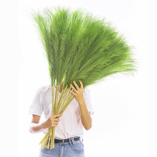 38" 10 Stems Tall Pampas Grass