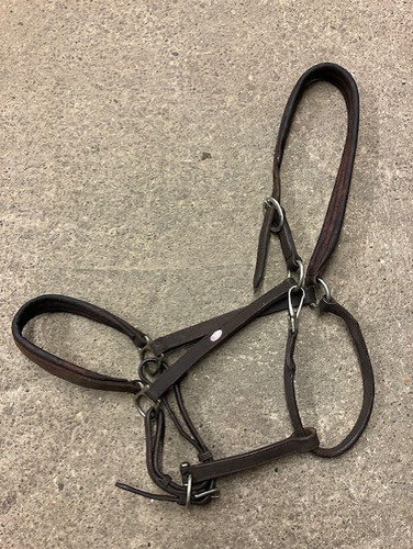 Whitaker ready ride brown - ready,