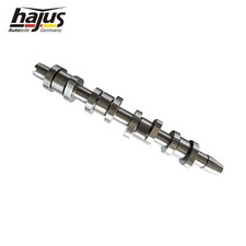Hajus Camshaft Audi A4 B6 B7