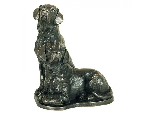 Genesis pair labradors - genesis,