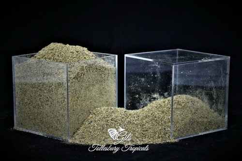 100 freeze dried daphnia 200g - freeze,