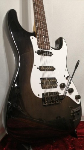 Fernandes function sustainer - fernandes,