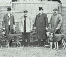 Hare Coursing The Rye Open