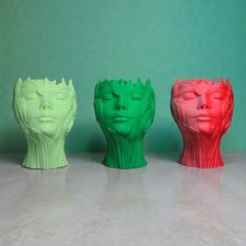 Lady Face Succulent Planter