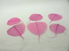 Pink Skeleton Leaves - Packs