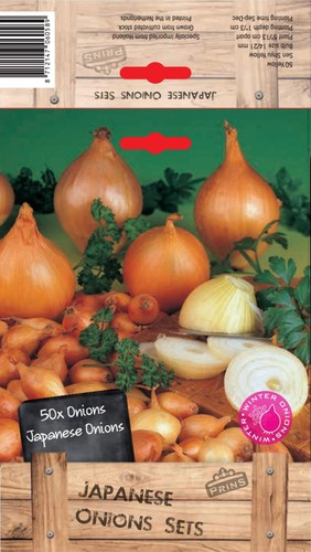 Prins japanese onion - onion, sets