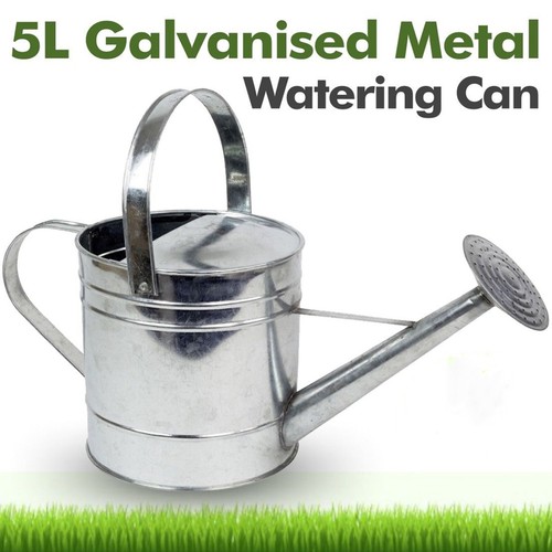 Galvanised watering can - watering, 5l