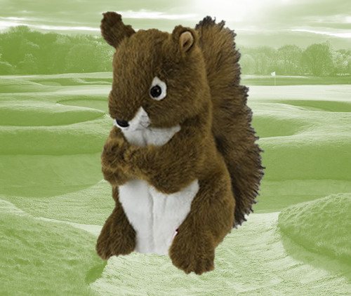 Squirrel daphne large - daphne's,