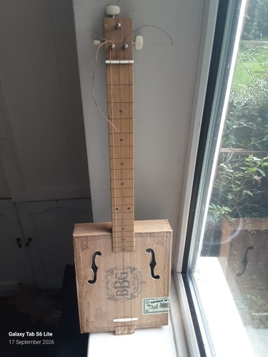 String fretted acoustic - fretted,