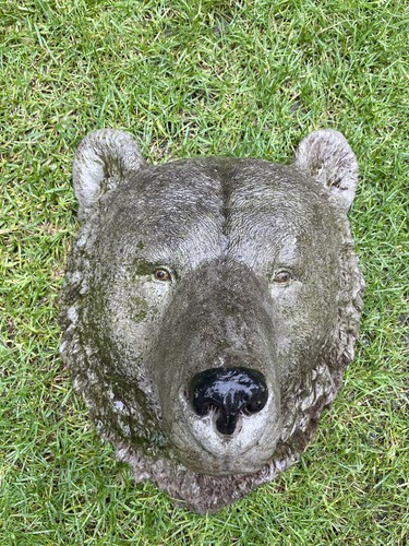 Bears head wall - , plaque