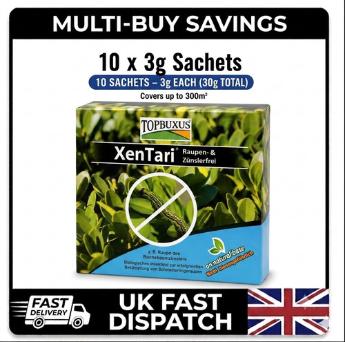 Topbuxus xentari boxwood - xentari,