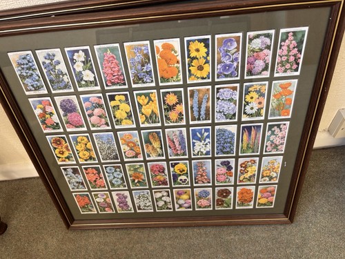 Framed set vintage - of,