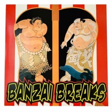 DJ Shin Banzai BREAKS Scratch
