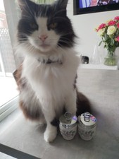 2 x Royal Worcester June Garland Single Egg Coddlers