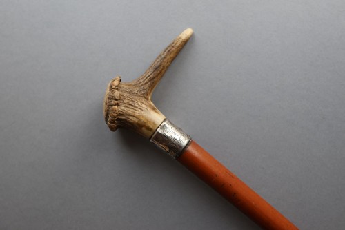 Antler handle walking - antler, stick