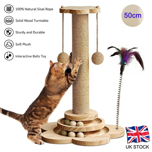 Tall cat scratching - cat,