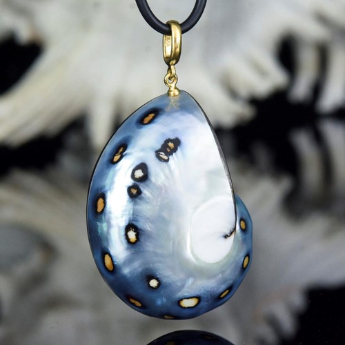 Osmena pearl shell - pearl,