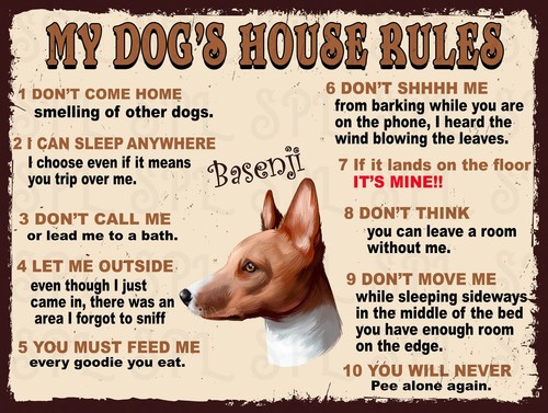 Basenji dog house - basenji,