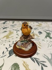 Border Fine Arts Birds - Robin