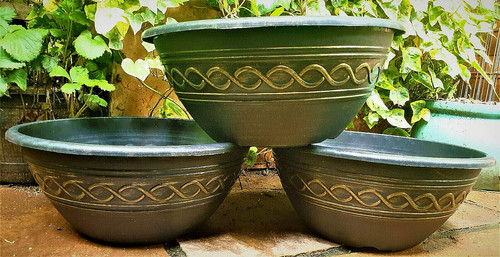 Set round plant - round, bowl