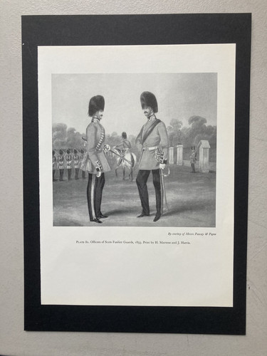 Vintage military print - vintage, print-