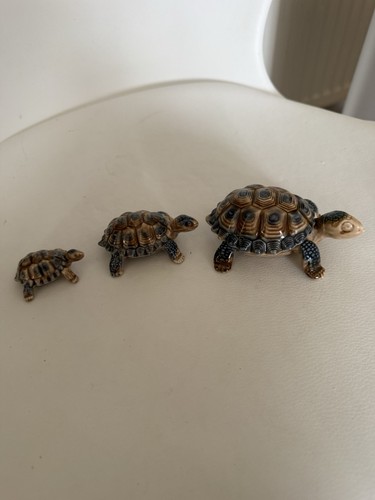 Wade tortoise one trinket - 3, a