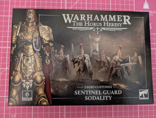 Sentinel guard shoulder - guard, pads