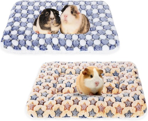 Pack plush guinea pig - plush,