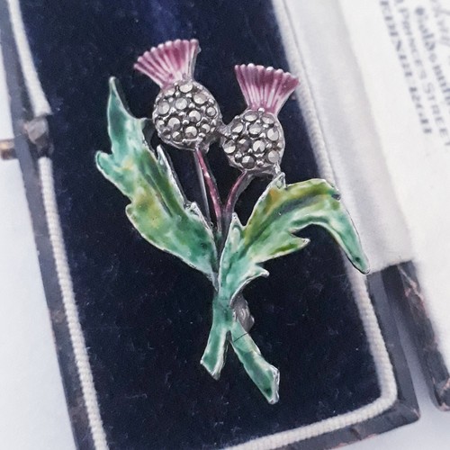 Vintage scottish thistle - vintage,