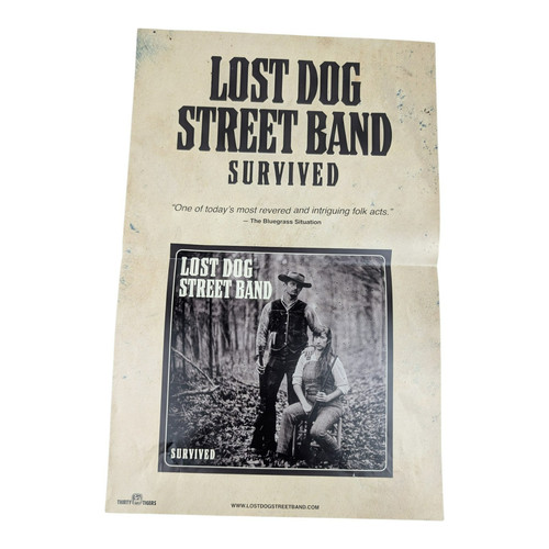 Lost dog street - lost,