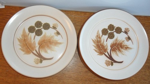 Denby cotswold x dinner - denby, "cotswold"