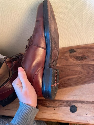 Lloyd new york - new, premium
