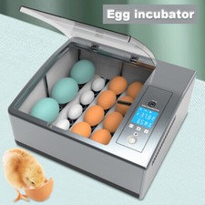 16-Egg Digital Egg Incubator
