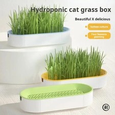 Hydroponic Cat Grass Kit