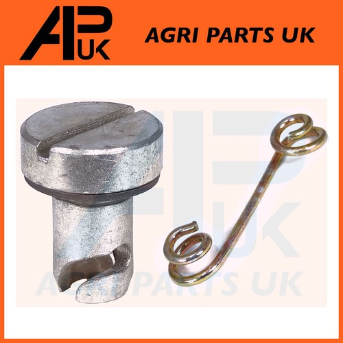 Grille door retaining screw - screw, &