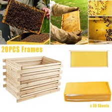 Beehive Brood Frames Bee Hive
