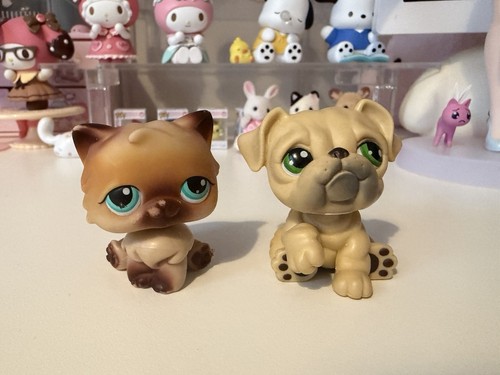 Littlest pet shop dog - shop, cat