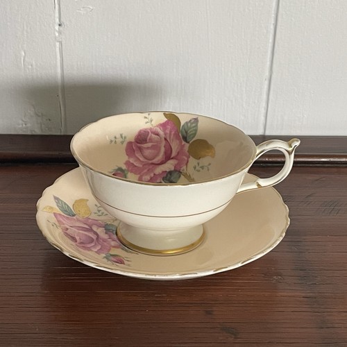 Paragon peach rose - paragon,