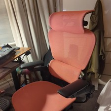 HINOMI H1 Pro Ergonomic Chair