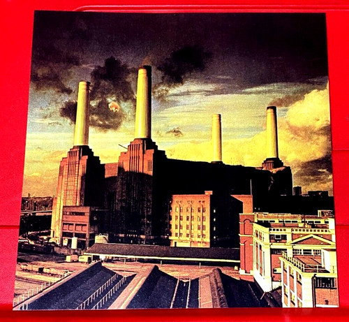 Pink floyd animals - pink,