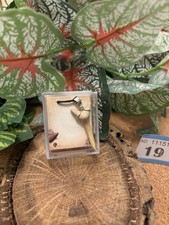 Genuine Fossil Sand Tiger