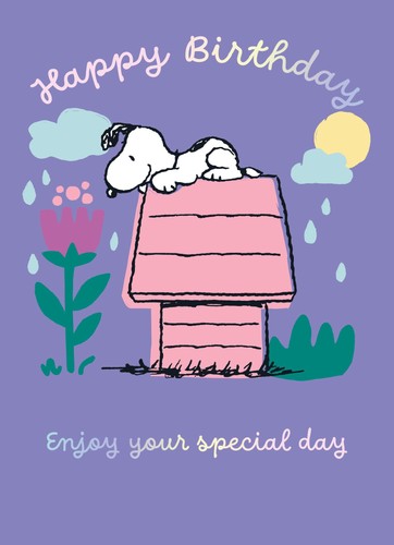 Peanuts snoopy birthday - peanuts,