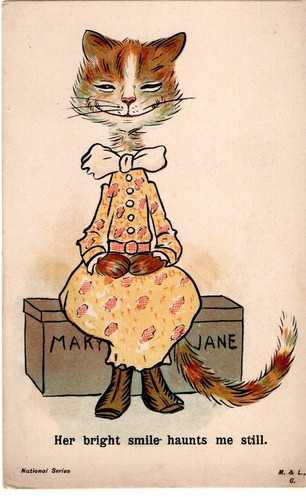 Antique c1910 cat - postcard, her