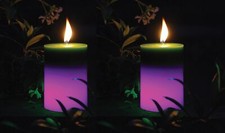 2 Citronella Colour Changing