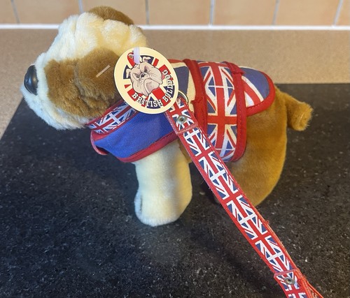 English bull dog with lead - bull,