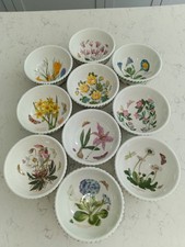 10 X Portmeirion Botanic