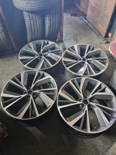 Genuine x 22 - 4,
