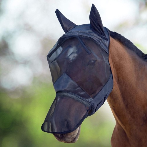 Horse master - horse, fly